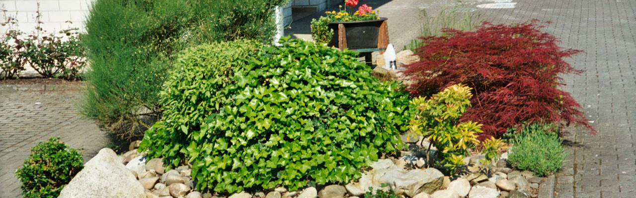 Bepflanzung einer Firmeneinfahrt