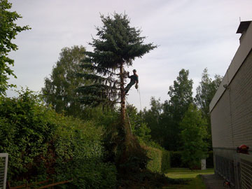 F&auml;llung zwischen Geb&auml;ude und Strasse