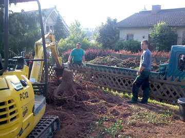 Zum Abtransport freigelegt