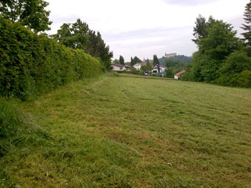 Gem&auml;hte Fl&auml;che - nachher