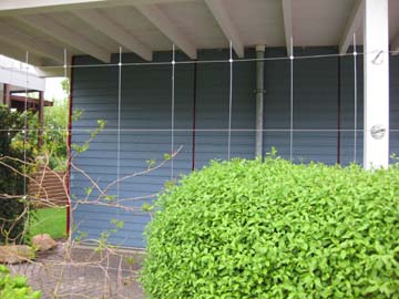 Rankhilfe in Seilspanntechnik