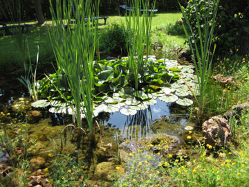 Fertige Teichanlage